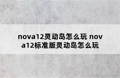 nova12灵动岛怎么玩 nova12标准版灵动岛怎么玩